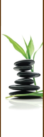 ELAN Beauty Salon