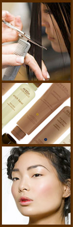 ELAN Beauty Salon