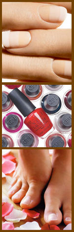ELAN Beauty Salon